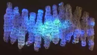 'Metamorphosis: Light & Movement'