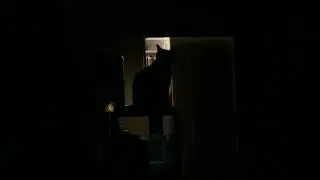 Animals sensing the spirit realm FULL VIDEO