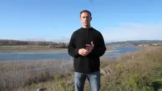 Life Coach Jesse Brisendine: Olympic Level Success