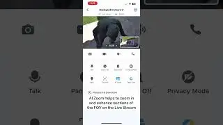 Using AI Zoom on a Tapo 4K Camera #4K Camera #Tapo #AIZoom