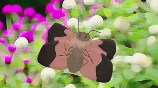 hot moth