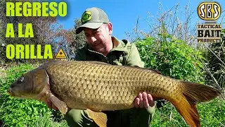CARPFISHING | Regreso a la orilla | José Rey