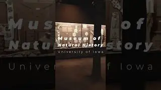 Museum of Natural History University of Iowa #shorts #museum #ushistory