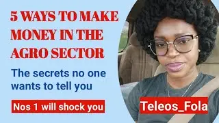 5 WAYS TO MAKE MONEY IN THE AGRO SECTOR 