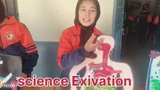 Science education 