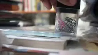 Sony A33 Video Test