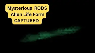 Mysterious RODS  Alien Life Form Captured with Sky Night Vision Camera #RODS #mysterious #UFO #2023