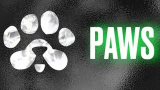 [ЭКСКЛЮЗИВНЫЙ ЛИСТИНГ] Токен PAWS дебютирует на MEXC! Аирдроп + 20U бонусов новичкам