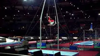 WEGLARZ Dawid (POL) - 2019 Artistic Worlds, Stuttgart (GER) - Qualifications Rings