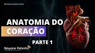Anatomia do coração [parte 1]