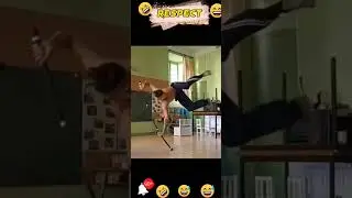 🤣😜🐶🐱🐕Pets Unleashed: A Comedy Adventure with Cats and Dogs!