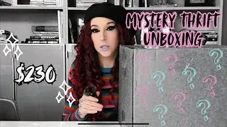 $200 Maximalist thrifted mystery box Unboxing and styling (Was it worth it?)