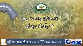 PFA crack down on poisonous vegetables