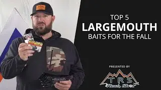 Top 5 Baits for Largemouth Bass in the Fall