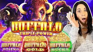🦬 🟣 🔴 🟢 The BRAND NEW BUFFALO POWER TRIO ‼️ Buffalo BAG GAME !