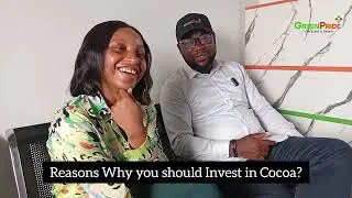 &ldquo;How to Invest in Cocoa Farming in Nigeria (2026 Guide)&rdquo;