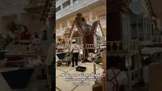 Building the #gingerbreadhouse at the #grandfloridian ! #disneyworld #disneychristmas #wdw