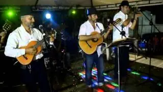PICARDIA POPULAR