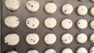 PiMAK  wire cut cookie machine 'провод-вырезать 'сухие макароны машины
