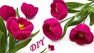 DIY Tulips 🌷 How to make bouquet flowers for Present