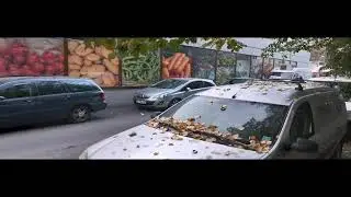 9 Noiembrie 2020, Piața Drumul Taberei reamenajată după &icirc;nchidere, Luni