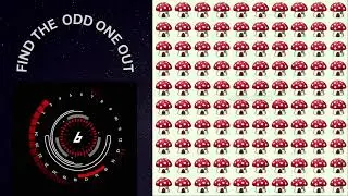 Can You Find the Odd Object Out in These Pictures?