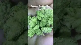 COOKIE MAG JAR!!!! #berner  #weedtube #420