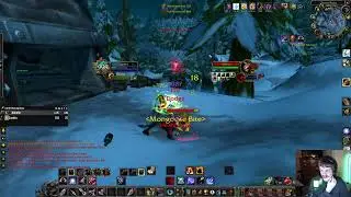 TBC Anniversary Pre Patch | Rogue/Hunter PVP Server