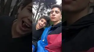 Homunculo
