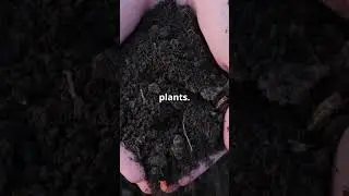 Transform Your Backyard into a Sustainable Micro Farm!