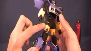 Botcon 2012 - Shattered Glass Treadshot