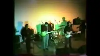 The TIME BETWEENS & Robin WILLS - I Can't Hide (Live 1990) Flamin' Groovies