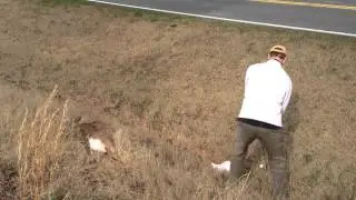 John Enright Golf - Unintentional Ain't-right flop shot over a deer carcass