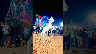 21 ram ram horse dance rajshahi trendingvideo #animatedcomedy #camelcity #camel #trending #shorts