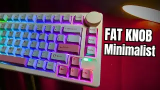 I am Not Gay but I like it |  Epomaker QK81 Mechanical Keyboard Review