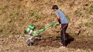 South asia improving in agriculture
