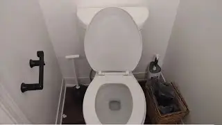 2020's Niagara Stealth Toilet 