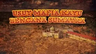 TOP ECONOMY - USUT MAFIA KAYU BENCANA SUMATRA