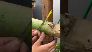 The right way to nail bamboo without splitting it.#BambooBuild #ConstructionTip #SmartTechnique