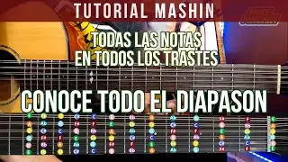 ¿Conoces cada nota del diapasón? aquí te lo explico bien mashin