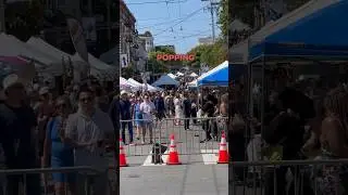 San Francisco Daily ViewBack in#popping #dallylite #travelgoals #explore #bayarea #cityvibes