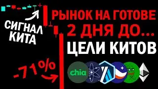ЗАТИШЬЕ ПЕРЕД БУРЕЙ, КИТЫ ГОТОВЯТ КРОВАВУЮ БАНЮ НА РЫНКЕ АЛЬТКОИНОВ И БИТКОИНЕ!!!