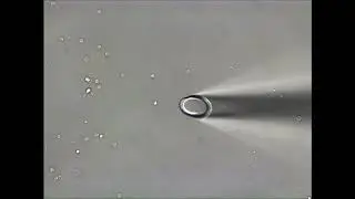 Isolating Single Neurons