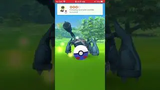 Catching wild metagross