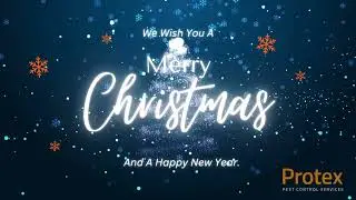 Protex Pest Control Christmas 2025