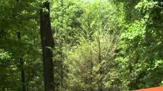 277 Avalon Way, Deep Gap, NC 28618