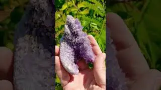 Hey, Got Any Grapes? No? How About Grape Agate? #crystals #gems #nature #ducks