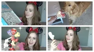 DISNEY SUBSCRIPTION BOX! | MICKEY MONTHLY UNBOXING // NOVEMBER 2017 // THEME PARK, CASTLE SIZE!
