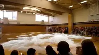 7d video Shark flying