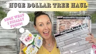 HUGE DOLLAR TREE HAUL | NEW $1.00 FINDS | MUST SEE DOLLAR TREE HAUL | DOLLAR TREE HAUL